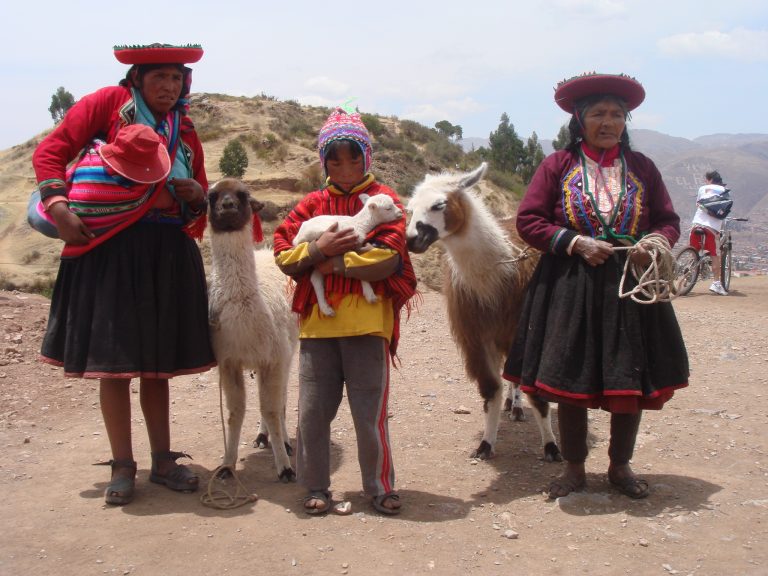 085_saqsaywaman_peroy_fthin_2008